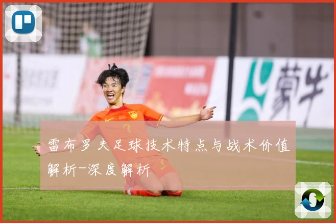 雷布罗夫足球技术特点与战术价值解析-深度解析