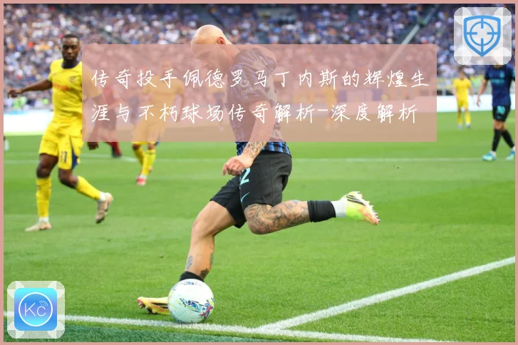 传奇投手佩德罗马丁内斯的辉煌生涯与不朽球场传奇解析-深度解析