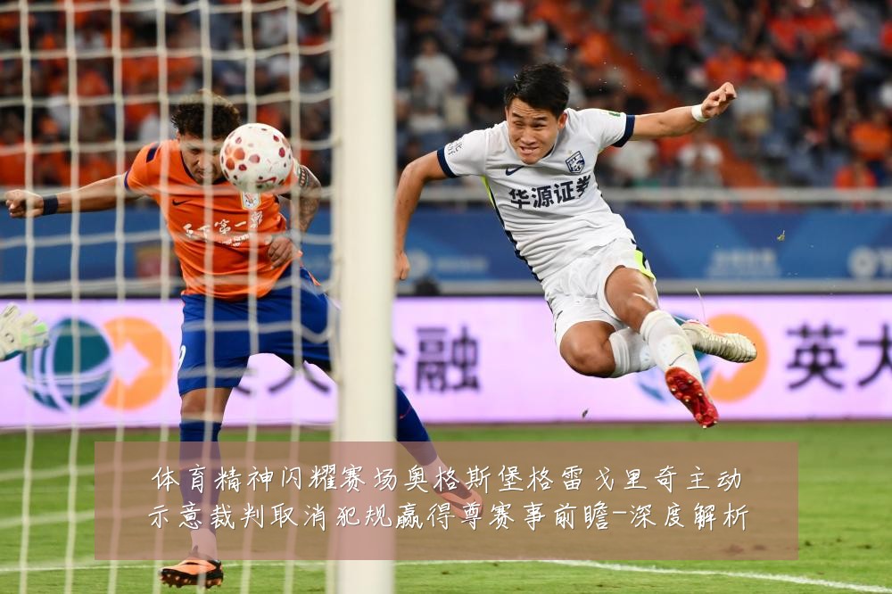 体育精神闪耀赛场奥格斯堡格雷戈里奇主动示意裁判取消犯规赢得尊赛事前瞻-深度解析