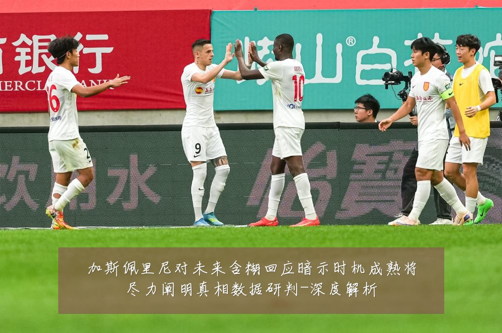 加斯佩里尼对未来含糊回应暗示时机成熟将尽力阐明真相数据研判-深度解析